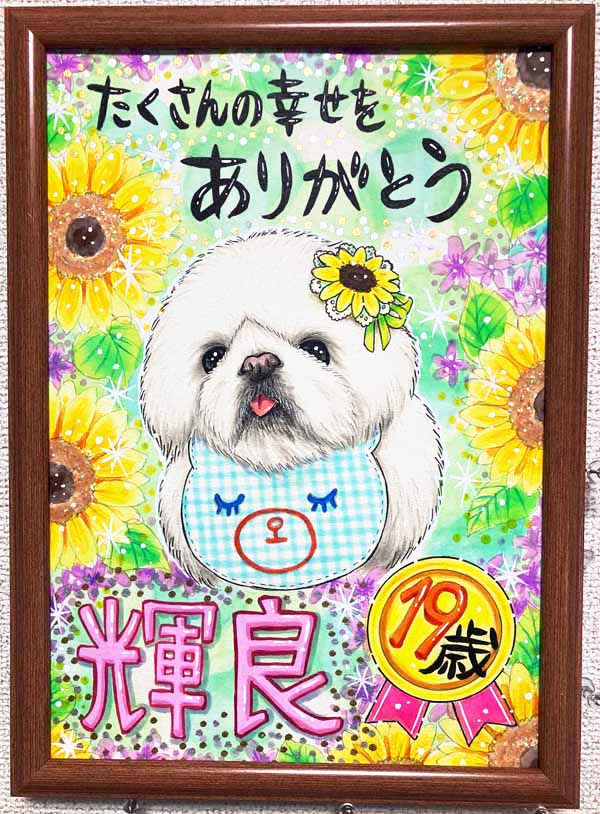 A4�v���~�A������G