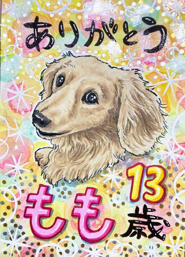 �~�j�`���A�_�b�N�X