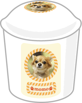 ����V�[��