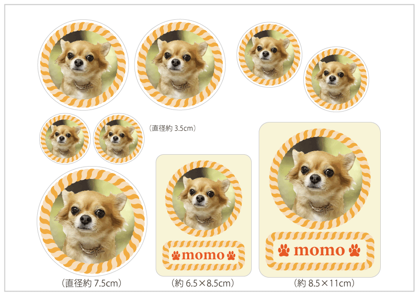 ����V�[���k�T�C�Y