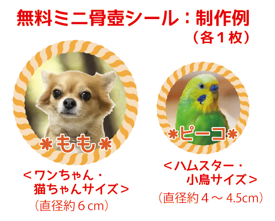 �����~�j����V�[��