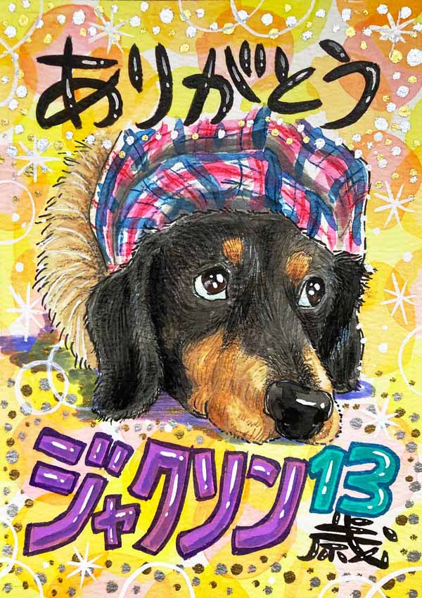 �~�j�`���A�_�b�N�X