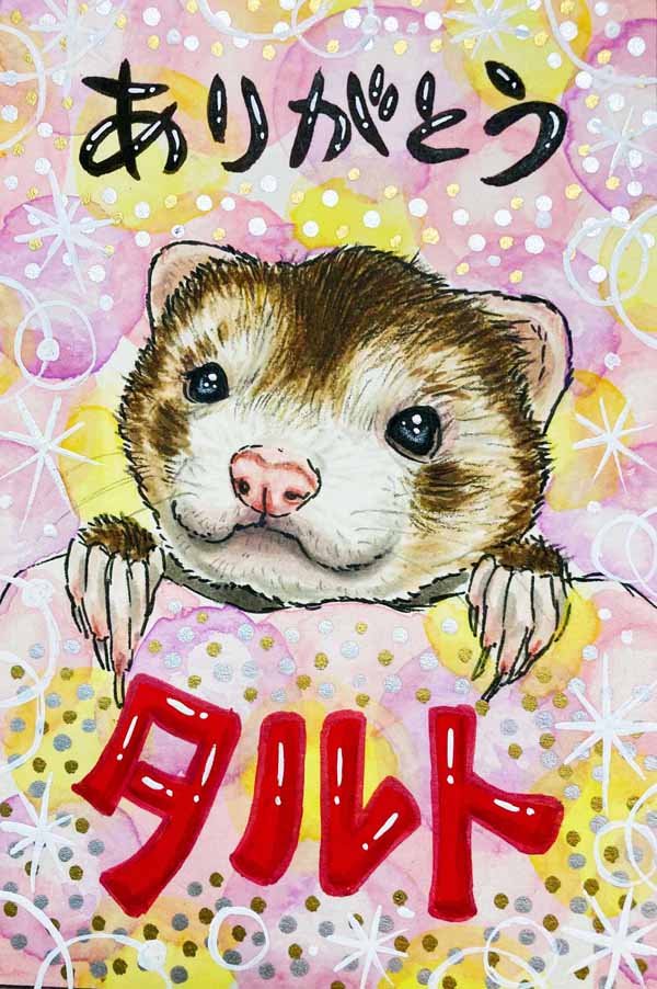 �~�j�`���A�_�b�N�X